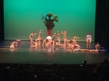  Dance Recitals